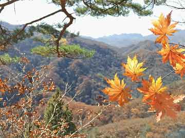 山西最小地级市，死磕无人驾驶