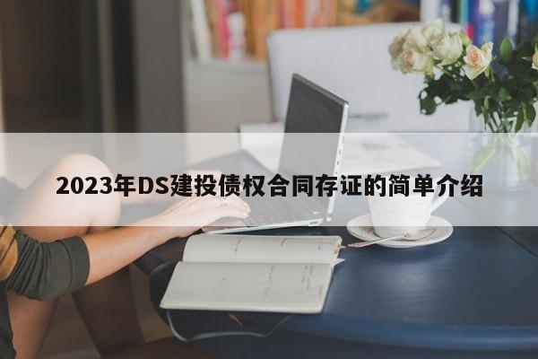 2023年DS建投债权合同存证的简单介绍