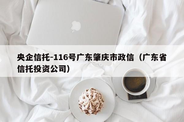 央企信托-116号广东肇庆市政信（广东省信托投资公司）