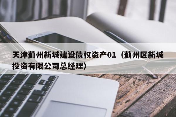 天津蓟州新城建设债权资产01（蓟州区新城投资有限公司总经理）
