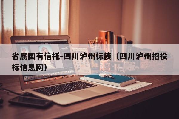 省属国有信托-四川泸州标债（四川泸州招投标信息网）