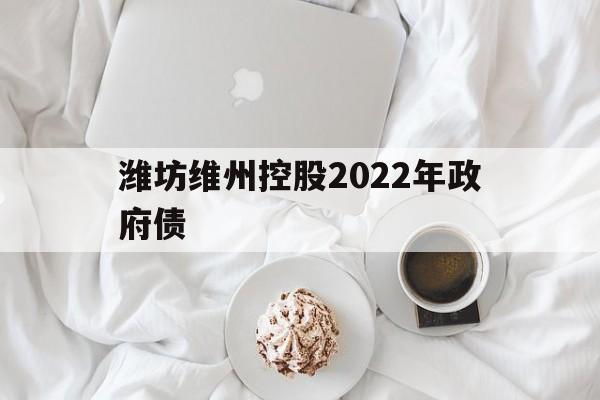 潍坊维州控股2022年政府债(潍坊维州控股2022年政府债券)