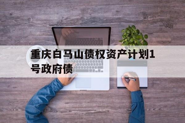 关于重庆白马山债权资产计划1号政府债的信息
