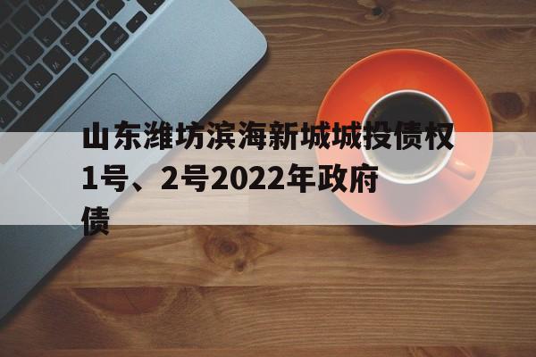 山东潍坊滨海新城城投债权1号、2号2022年政府债(2022年房土两税减免)