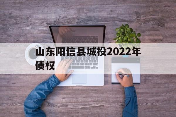 山东阳信县城投2022年债权(城投公司土地出让)