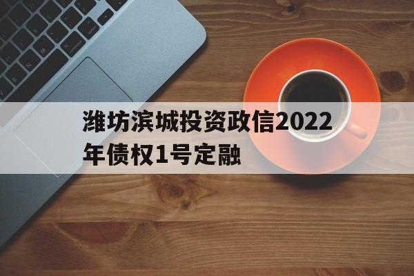 潍坊滨城投资政信2022年债权1号定融(潍坊滨海国投2021债权转让计划)