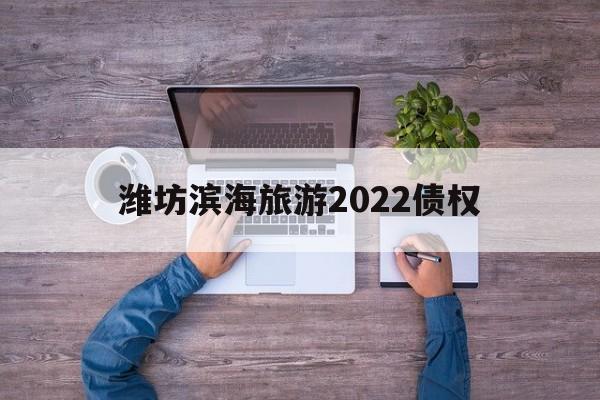 潍坊滨海旅游2022债权(潍坊滨海国投2021债权转让计划)