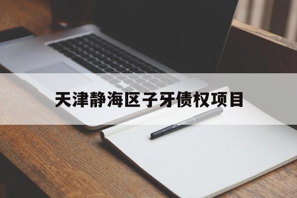 天津静海区子牙债权项目(天津市静海子牙工业产业园区)