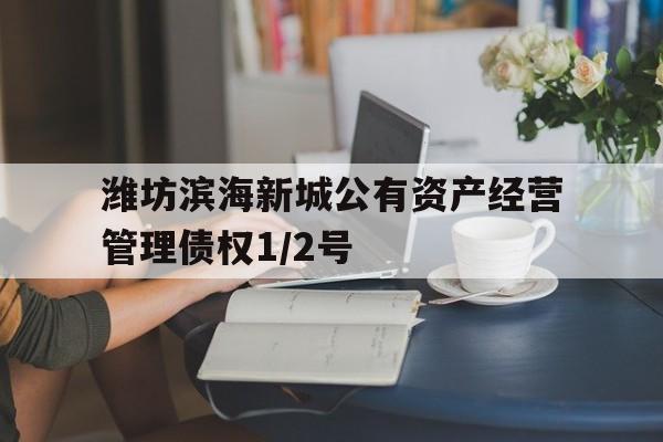 潍坊滨海新城公有资产经营管理债权1/2号(潍坊滨城投资债权)