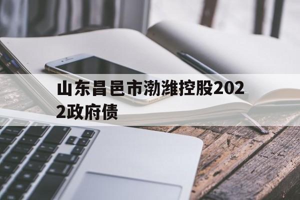 山东昌邑市渤潍控股2022政府债(金乡县政府网)