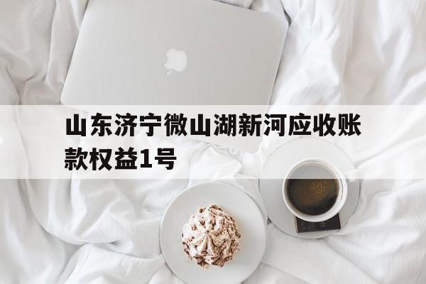 关于山东济宁微山湖新河应收账款权益1号的信息