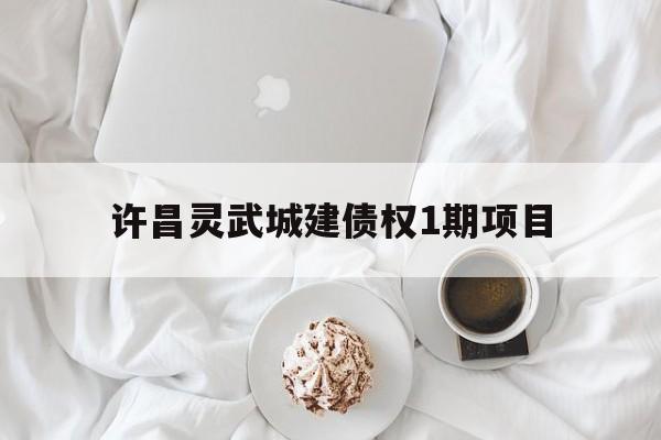 许昌灵武城建债权1期项目(许昌灵武城建债权1期项目招标)