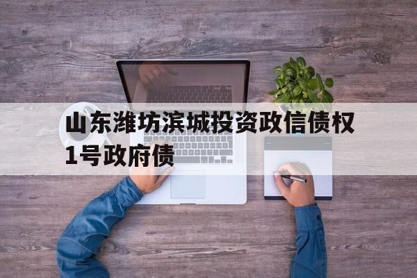 山东潍坊滨城投资政信债权1号政府债(潍坊滨城投资发债)