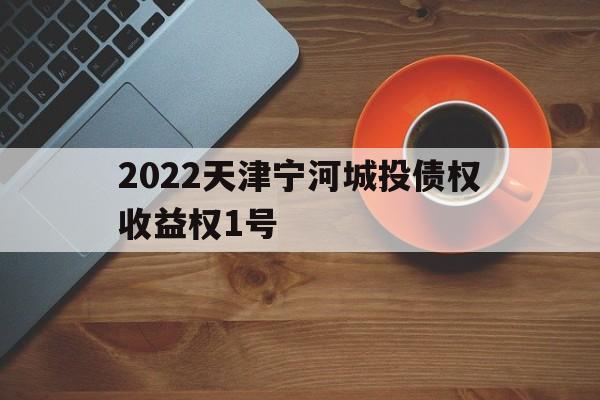2022天津宁河城投债权收益权1号(天津宁河投资集团)