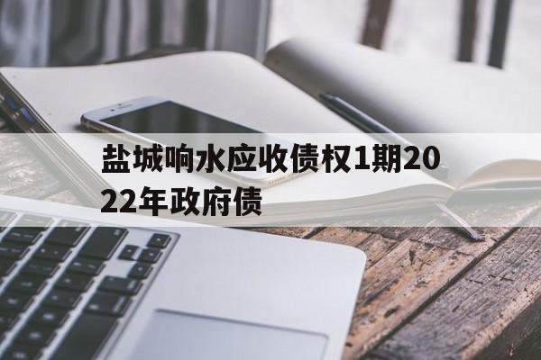 盐城响水应收债权1期2022年政府债(盐城响水应收债权1期2022年政府债务多少)