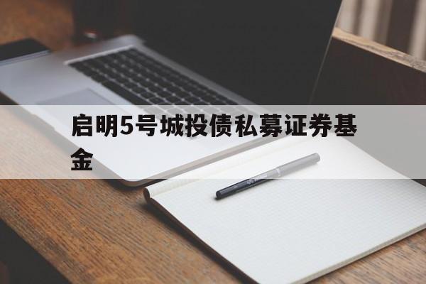 启明5号城投债私募证券基金(启明1号私募基金)