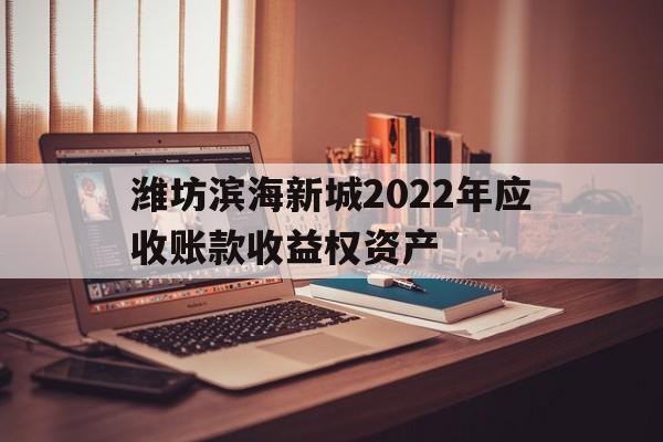 潍坊滨海新城2022年应收账款收益权资产的简单介绍