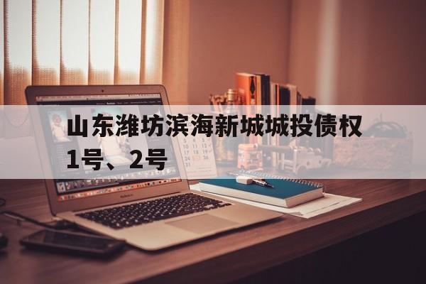 山东潍坊滨海新城城投债权1号、2号(潍坊各小区最新房价)