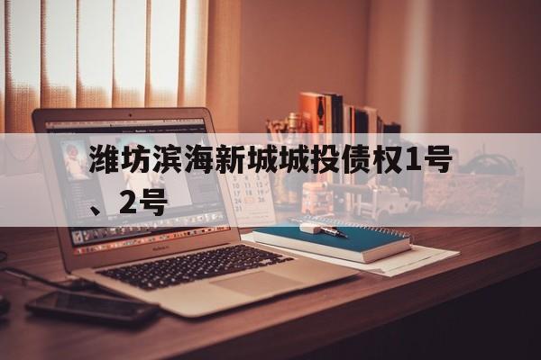 潍坊滨海新城城投债权1号、2号(潍坊房价走势最新消息2022)