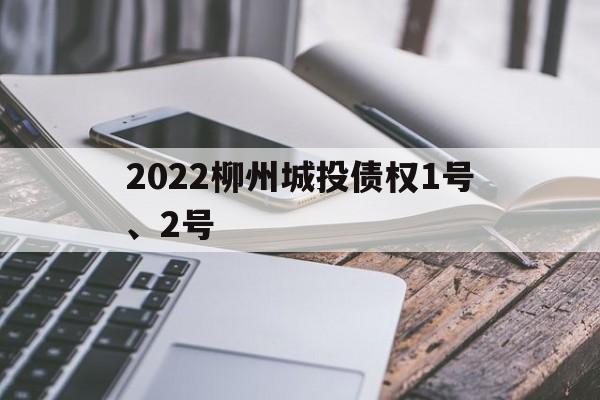 2022柳州城投债权1号、2号(2022柳州城投公司董事长)