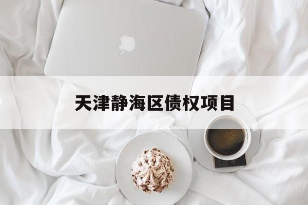 天津静海区债权项目(天津静海区债权项目公示)