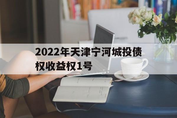 关于2022年天津宁河城投债权收益权1号的信息