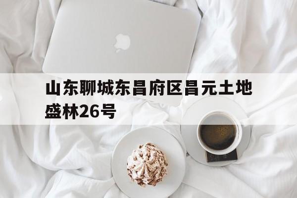 山东聊城东昌府区昌元土地盛林26号(聊城东昌华庭)