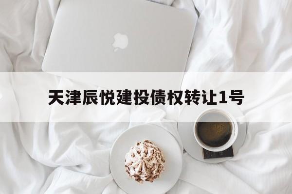 天津辰悦建投债权转让1号(债权转让通知债务人)