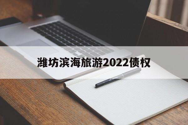 潍坊滨海旅游2022债权(潍坊滨海旅游集团发债)
