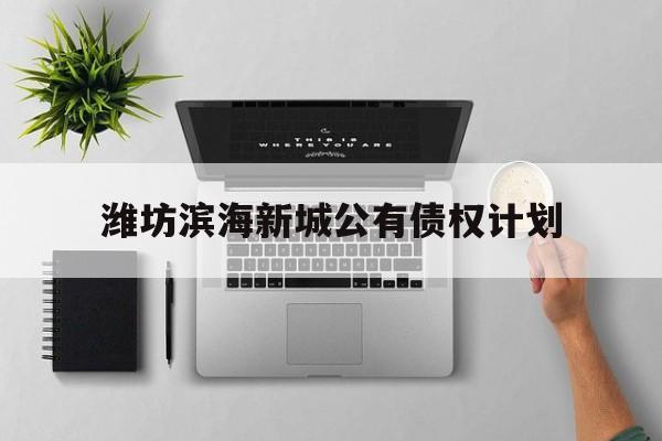 潍坊滨海新城公有债权计划(潍坊滨海新城公有2021定融)