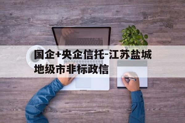 关于国企+央企信托-江苏盐城地级市非标政信的信息