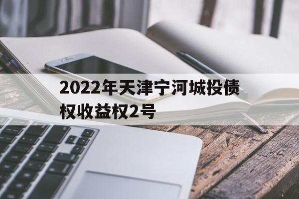 关于2022年天津宁河城投债权收益权2号的信息