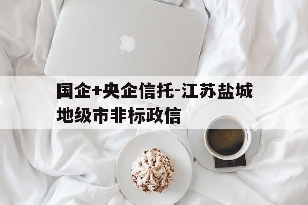 国企+央企信托-江苏盐城地级市非标政信(万向信托是国企吗)