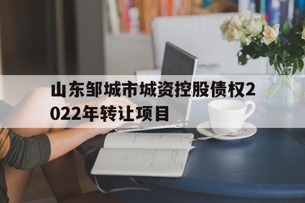 山东邹城市城资控股债权2022年转让项目(邹城土地出让2020A17)