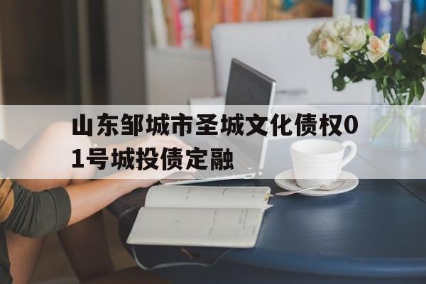 山东邹城市圣城文化债权01号城投债定融(邹城建业社区)
