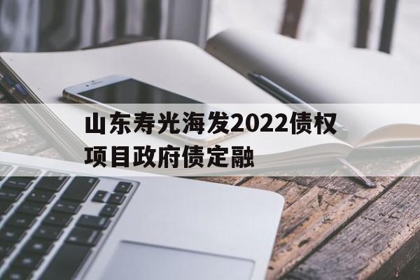 山东寿光海发2022债权项目政府债定融(系统宿主被gun满的日常)