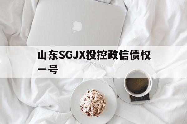 山东SGJX投控政信债权一号(国民技术公司最新消息)