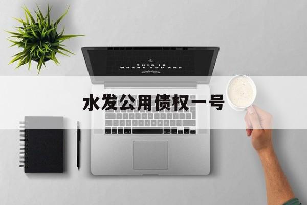 水发公用债权一号(浕水一号公寓)