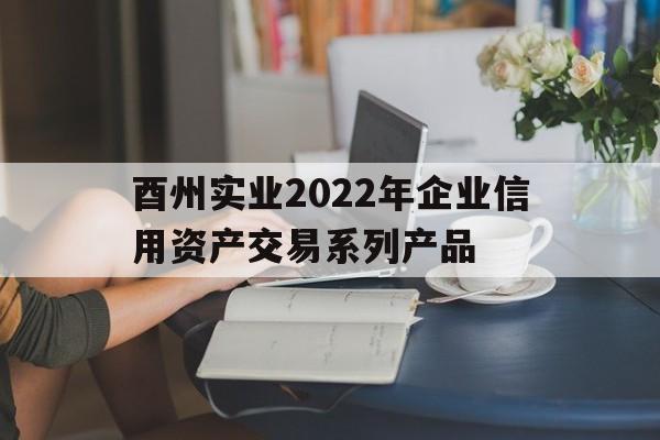 酉州实业2022年企业信用资产交易系列产品(全国企业信息查询官网)