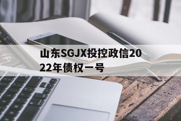 山东SGJX投控政信2022年债权一号(殷视山东学政)