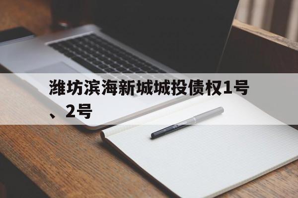 潍坊滨海新城城投债权1号、2号(潍坊滨海经济开发区城投)