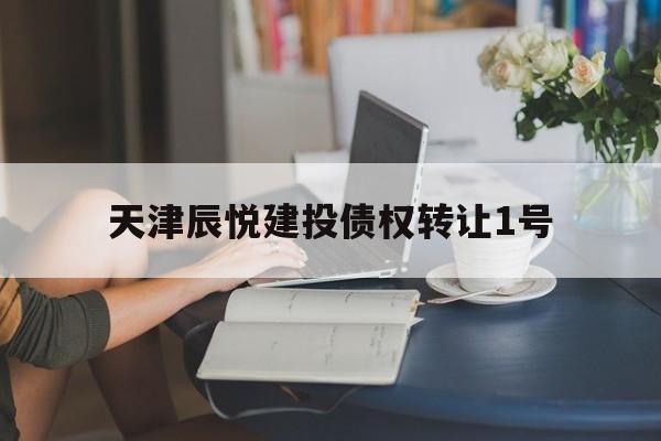 天津辰悦建投债权转让1号(个人债权可以转让吗)