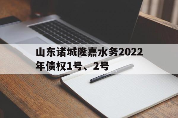 关于山东诸城隆嘉水务2022年债权1号、2号的信息
