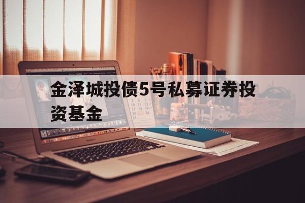 关于金泽城投债5号私募证券投资基金的信息