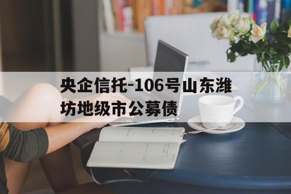 央企信托-106号山东潍坊地级市公募债(潍坊滨海国投信托)