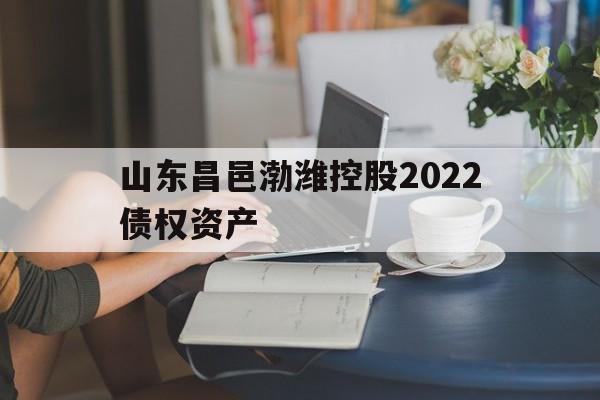 山东昌邑渤潍控股2022债权资产(张雪峰谈资产评估专业)