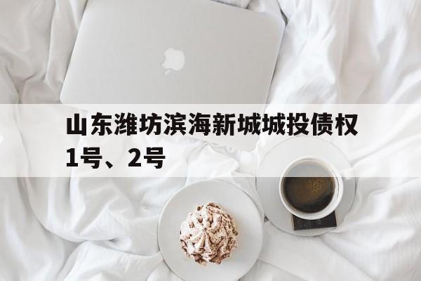 山东潍坊滨海新城城投债权1号、2号(潍坊滨海新城开发建设有限公司)