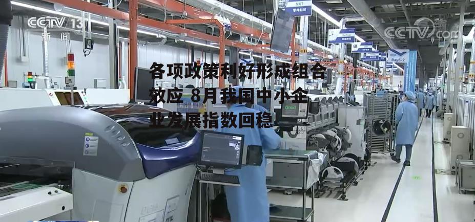 各项政策利好形成组合效应 8月我国中小企业发展指数回稳