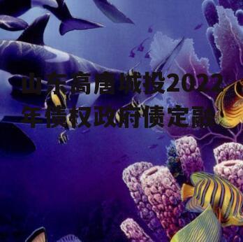 山东高唐城投2022年债权政府债定融