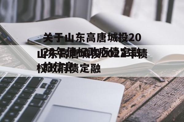 关于山东高唐城投2022年债权政府债定融的信息